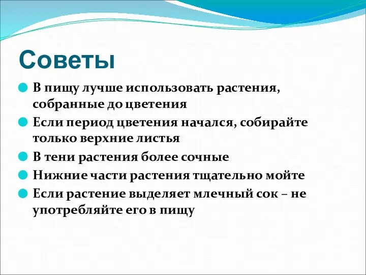 Советы В пищу лучше использовать растения, собранные до цветения Если период