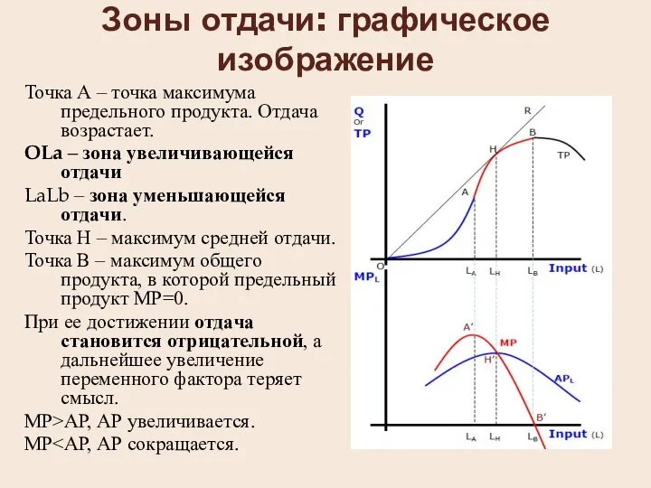 Зоны отдачи: графическое изображение Точка А – точка максимума предельного продукта.