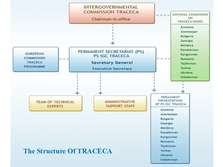 The Structure Of TRACECA