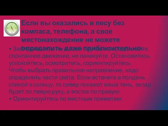 Если вы оказались в лесу без компаса, телефона, а свое местонахождение