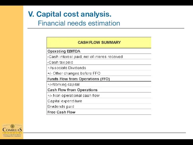 V. Capital cost analysis. Financial needs estimation