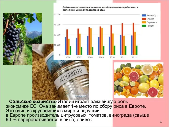 Сельское хозяйство Италии играет важнейшую роль экономике ЕС. Она занимает 1-е