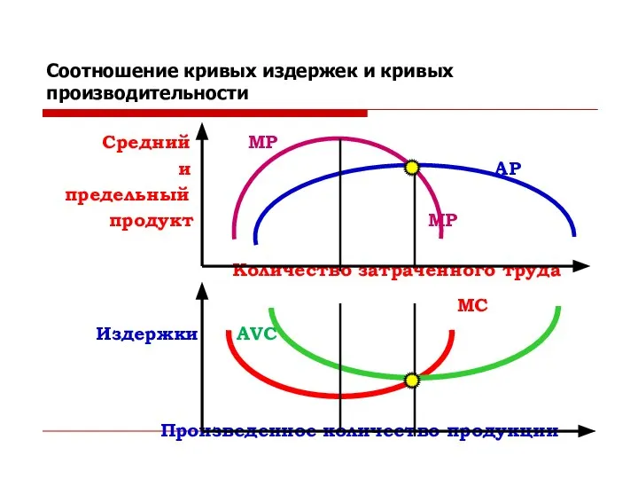 Соотношение кривых издержек и кривых производительности Средний MP и AP предельный