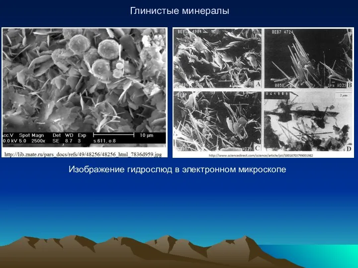 Глинистые минералы Изображение гидрослюд в электронном микроскопе