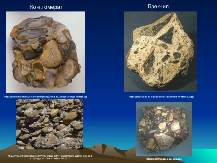 Конгломерат http://depthome.brooklyn.cuny.edu/geology/core332/images/conglomerate.jpg http://www.knowledgerush.com/wiki_image/9/91/Fanglomerate-above_Mesquite_Springs_in_Death_Valley_NP.JPG http://gsi.ir/Images/Breccia.jpg http://geophysics.ou.edu/geol1114/notes/sed_rx/breccia2.jpg Брекчия