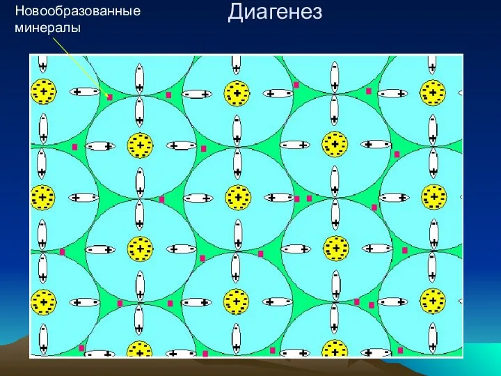 Диагенез Новообразованные минералы