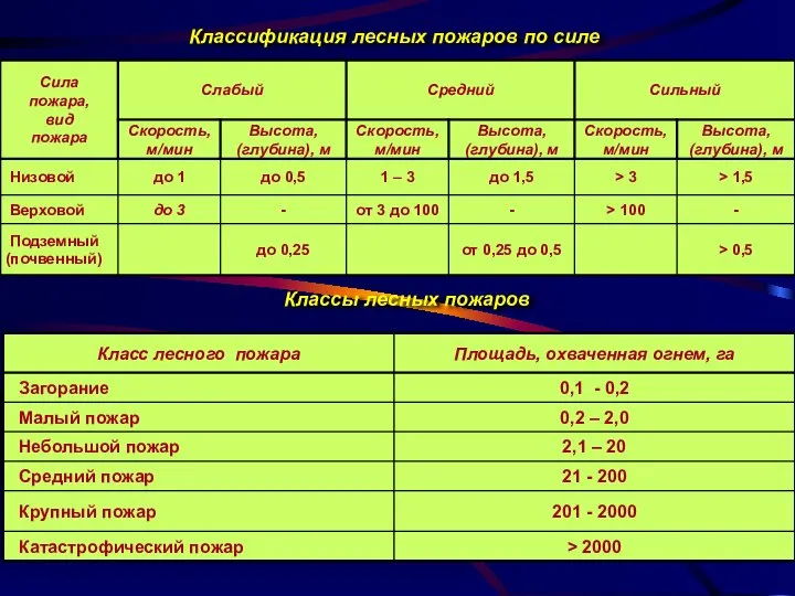 Классификация лесных пожаров по силе Классы лесных пожаров