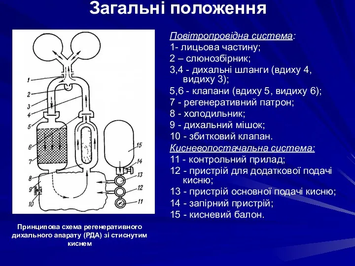 Загальні положення Повітропровідна система: 1- лицьова частину; 2 – слюнозбірник; 3,4