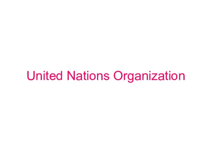 United Nations Organization