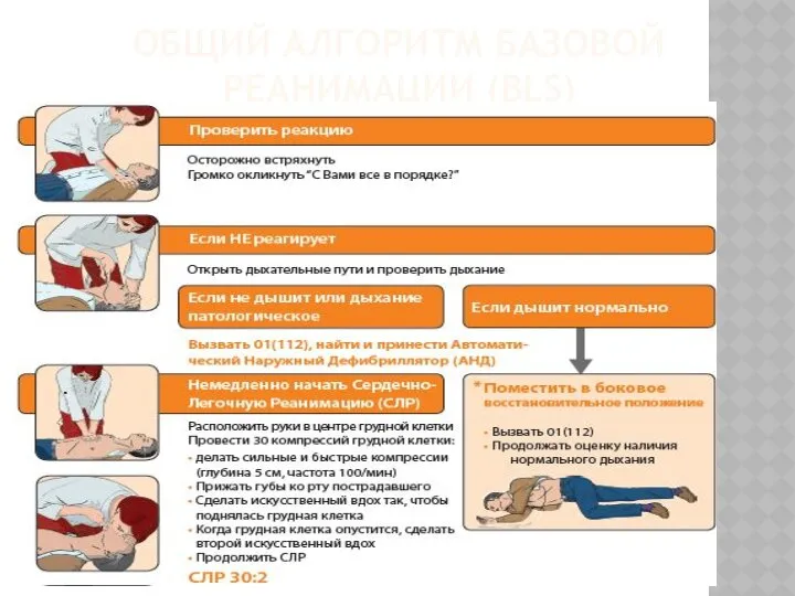 ОБЩИЙ АЛГОРИТМ БАЗОВОЙ РЕАНИМАЦИИ (BLS)