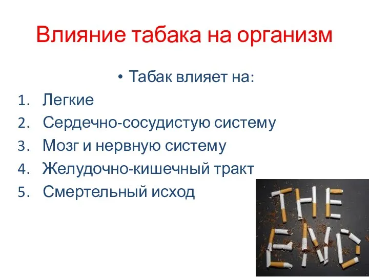 Влияние табака на организм Табак влияет на: Легкие Сердечно-сосудистую систему Мозг