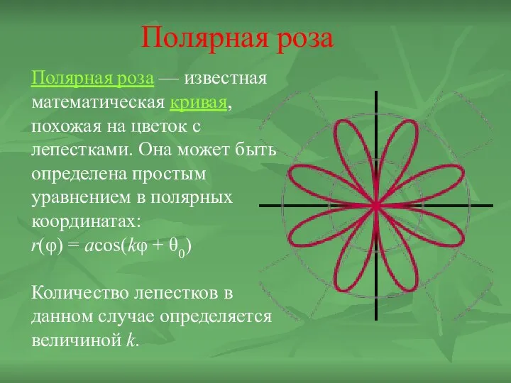 Полярная роза — известная математическая кривая, похожая на цветок с лепестками.