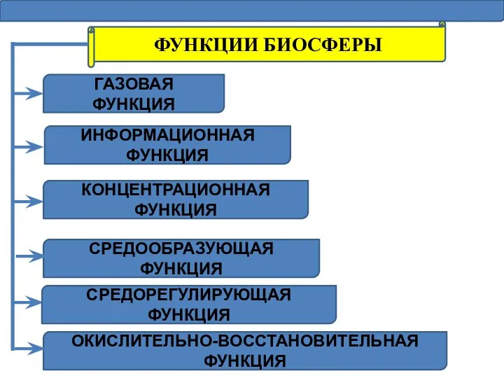 ФУНКЦИИ БИОСФЕРЫ ГАЗОВАЯ ФУНКЦИЯ КОНЦЕНТРАЦИОННАЯ ФУНКЦИЯ ОКИСЛИТЕЛЬНО-ВОССТАНОВИТЕЛЬНАЯ ФУНКЦИЯ ИНФОРМАЦИОННАЯ ФУНКЦИЯ СРЕДООБРАЗУЮЩАЯ ФУНКЦИЯ СРЕДОРЕГУЛИРУЮЩАЯ ФУНКЦИЯ