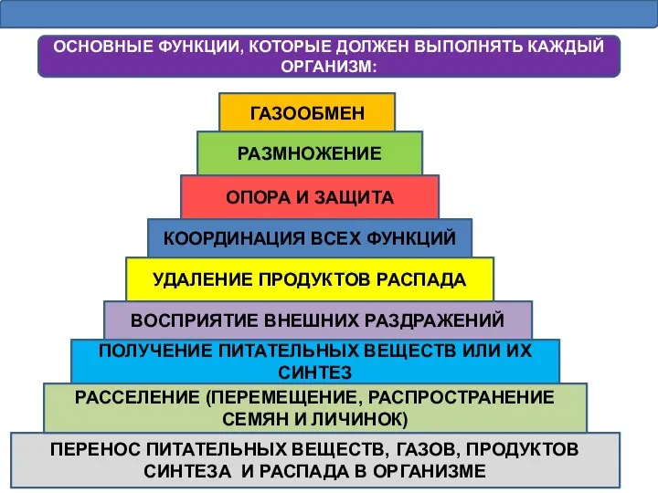 ОСНОВНЫЕ ФУНКЦИИ, КОТОРЫЕ ДОЛЖЕН ВЫПОЛНЯТЬ КАЖДЫЙ ОРГАНИЗМ: ГАЗООБМЕН РАЗМНОЖЕНИЕ ОПОРА И