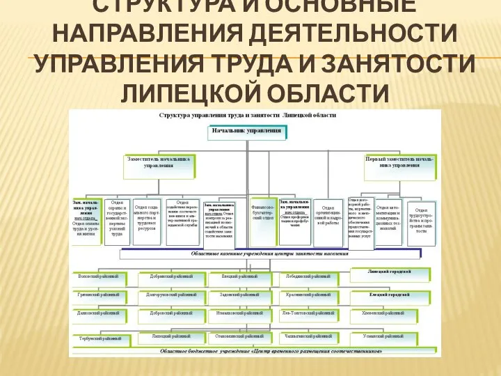 СТРУКТУРА И ОСНОВНЫЕ НАПРАВЛЕНИЯ ДЕЯТЕЛЬНОСТИ УПРАВЛЕНИЯ ТРУДА И ЗАНЯТОСТИ ЛИПЕЦКОЙ ОБЛАСТИ