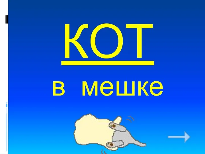 КОТ в мешке