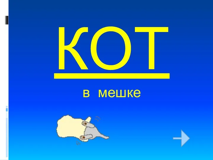 КОТ в мешке