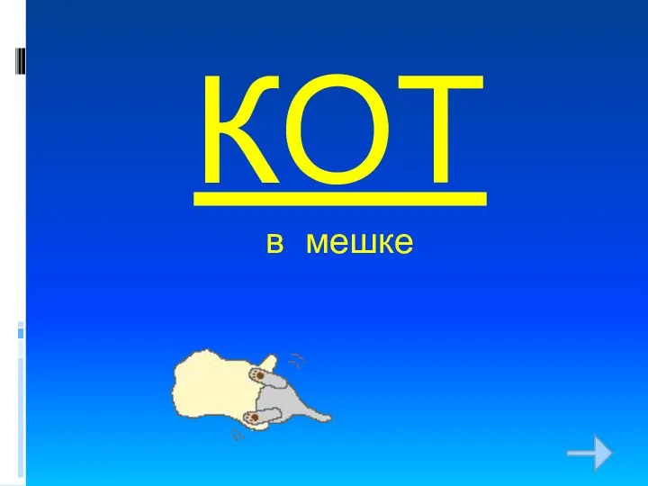 КОТ в мешке