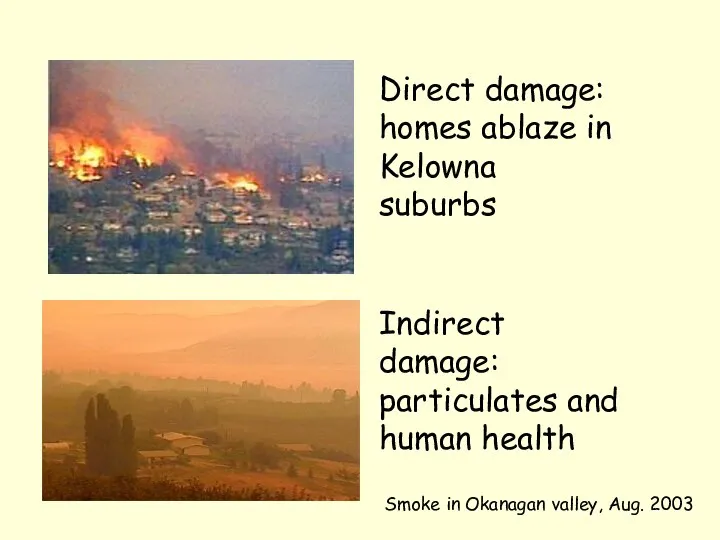 Direct damage: homes ablaze in Kelowna suburbs Indirect damage: particulates and