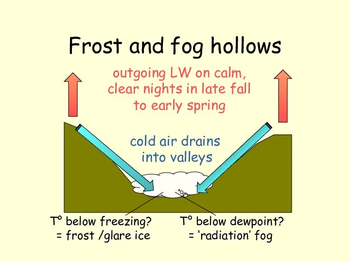 Frost and fog hollows outgoing LW on calm, clear nights in