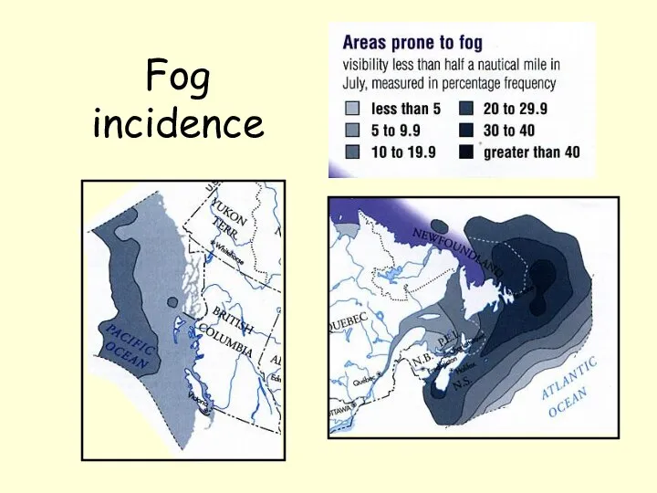 Fog incidence