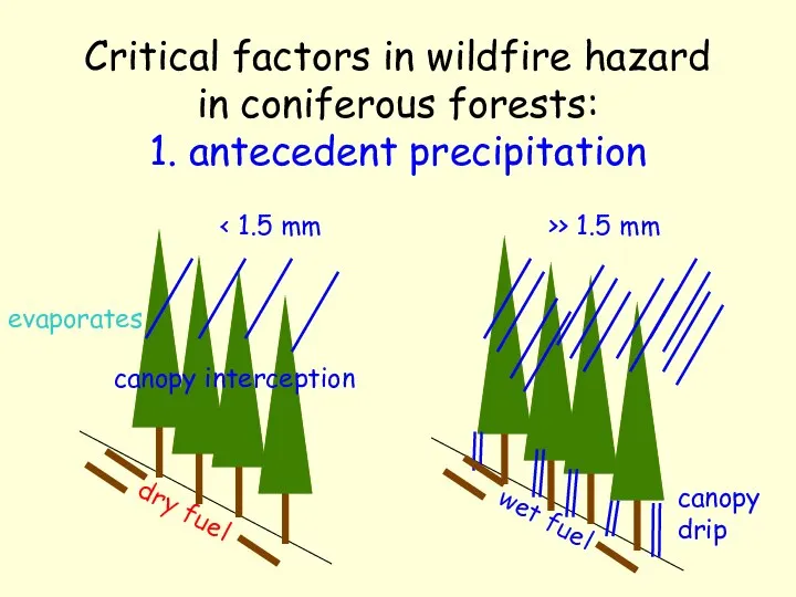 Critical factors in wildfire hazard in coniferous forests: 1. antecedent precipitation