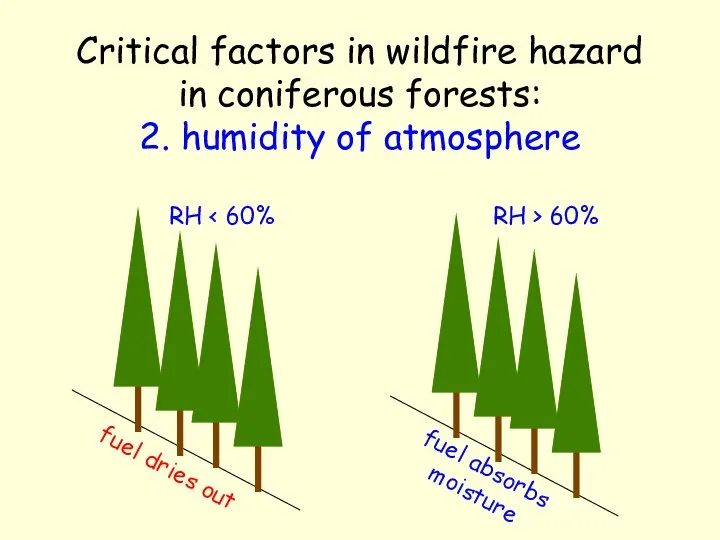 Critical factors in wildfire hazard in coniferous forests: 2. humidity of