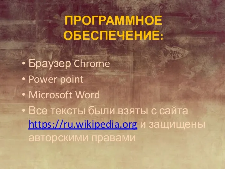 ПРОГРАММНОЕ ОБЕСПЕЧЕНИЕ: Браузер Chrome Power point Microsoft Word Все тексты были