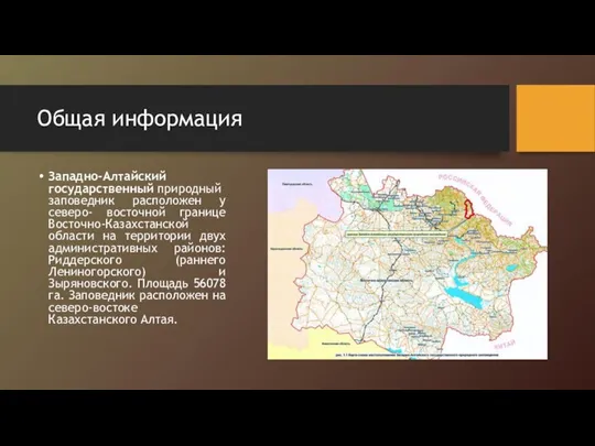 Общая информация Западно-Алтайский государственный природный заповедник расположен у северо- восточной границе