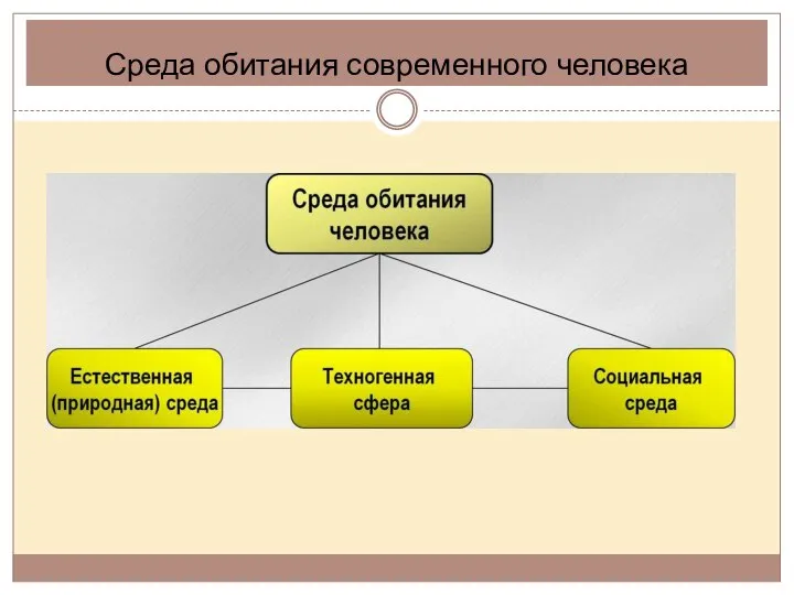 Среда обитания современного человека