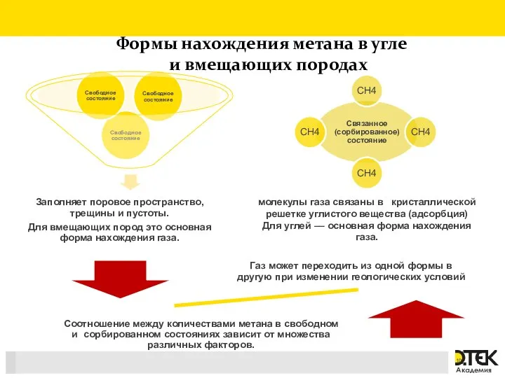 Формы нахождения метана в угле и вмещающих породах молекулы газа связаны