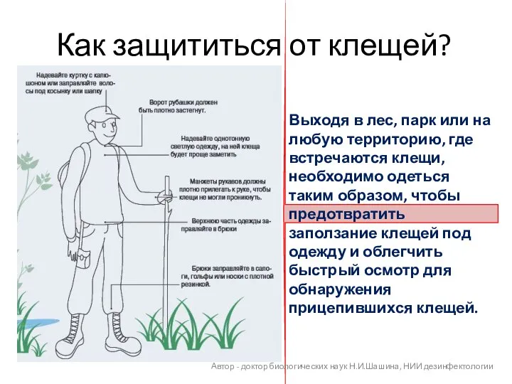 Как защититься от клещей? Выходя в лес, парк или на любую