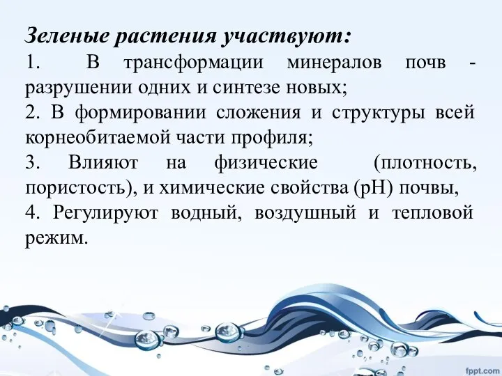 Зеленые растения участвуют: 1. В трансформации минералов почв - разрушении одних