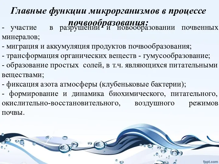 Главные функции микрорганизмов в процессе почвообразования: - участие в разрушении и