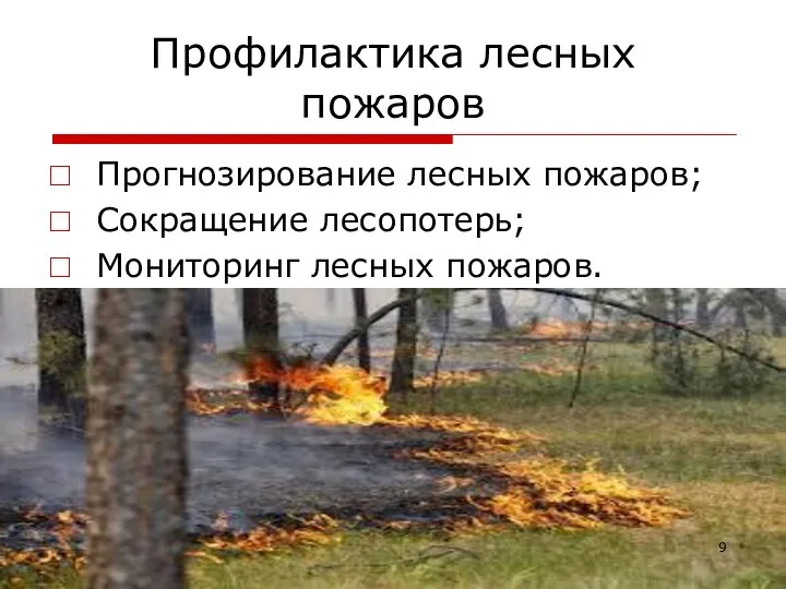 Профилактика лесных пожаров Прогнозирование лесных пожаров; Сокращение лесопотерь; Мониторинг лесных пожаров.