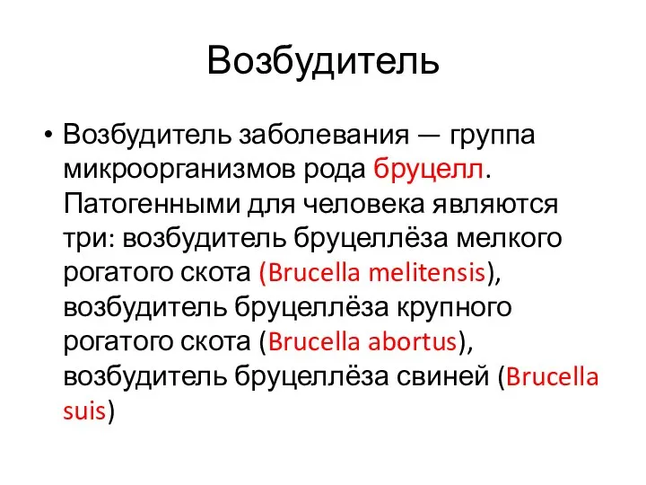 Возбудитель Возбудитель заболевания — группа микроорганизмов рода бруцелл. Патогенными для человека