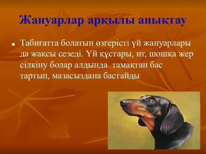 Жануарлар арқылы анықтау Табиғатта болатын өзгерісті үй жануарлары да жақсы сезеді.