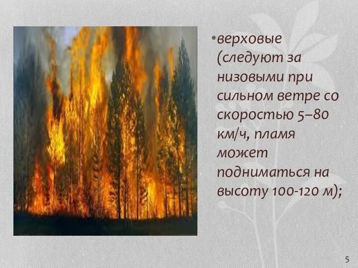 верховые (следуют за низовыми при сильном ветре со скоростью 5–80 км/ч,