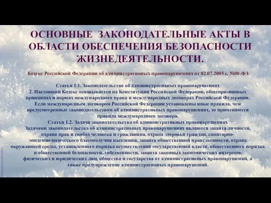 ОСНОВНЫЕ ЗАКОНОДАТЕЛЬНЫЕ АКТЫ В ОБЛАСТИ ОБЕСПЕЧЕНИЯ БЕЗОПАСНОСТИ ЖИЗНЕДЕЯТЕЛЬНОСТИ. Кодекс Российской Федерации