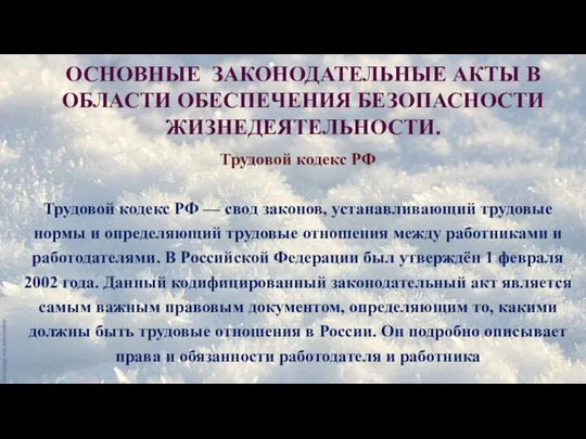 ОСНОВНЫЕ ЗАКОНОДАТЕЛЬНЫЕ АКТЫ В ОБЛАСТИ ОБЕСПЕЧЕНИЯ БЕЗОПАСНОСТИ ЖИЗНЕДЕЯТЕЛЬНОСТИ. Трудовой кодекс РФ