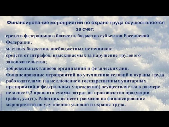 Финансирование мероприятий по охране труда осуществляется за счет: средств федерального бюджета,