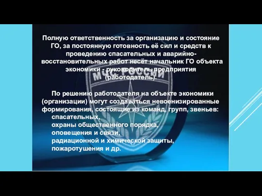 Полную ответственность за организацию и состояние ГО, за постоянную готовность её