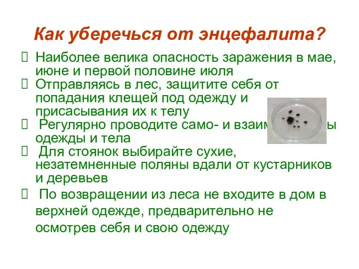 Как уберечься от энцефалита? Наиболее велика опасность заражения в мае, июне