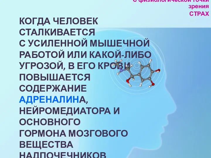 КОГДА ЧЕЛОВЕК СТАЛКИВАЕТСЯ С УСИЛЕННОЙ МЫШЕЧНОЙ РАБОТОЙ ИЛИ КАКОЙ-ЛИБО УГРОЗОЙ, В