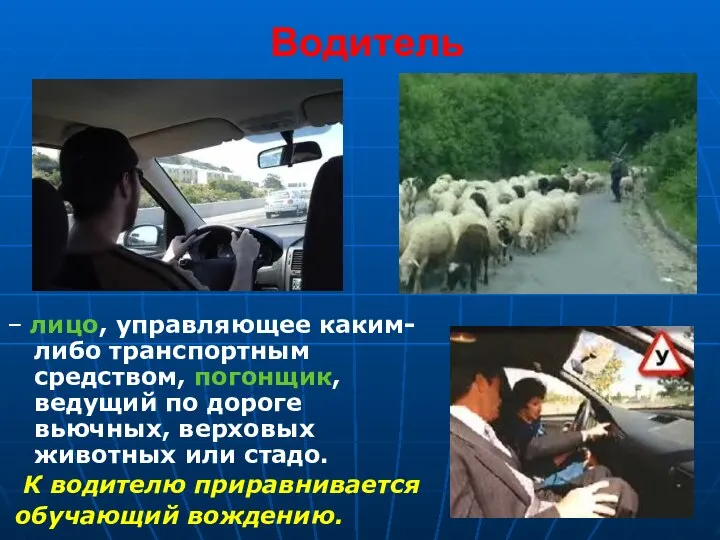 Водитель – лицо, управляющее каким-либо транспортным средством, погонщик, ведущий по дороге