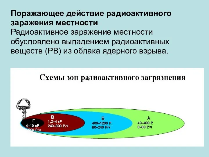 Поражающее действие радиоактивного заражения местности Радиоактивное заражение местности обусловлено выпадением радиоактивных