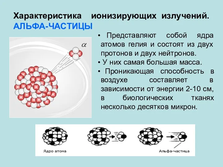 Характеристика ионизирующих излучений. АЛЬФА-ЧАСТИЦЫ Представляют собой ядра атомов гелия и состоят