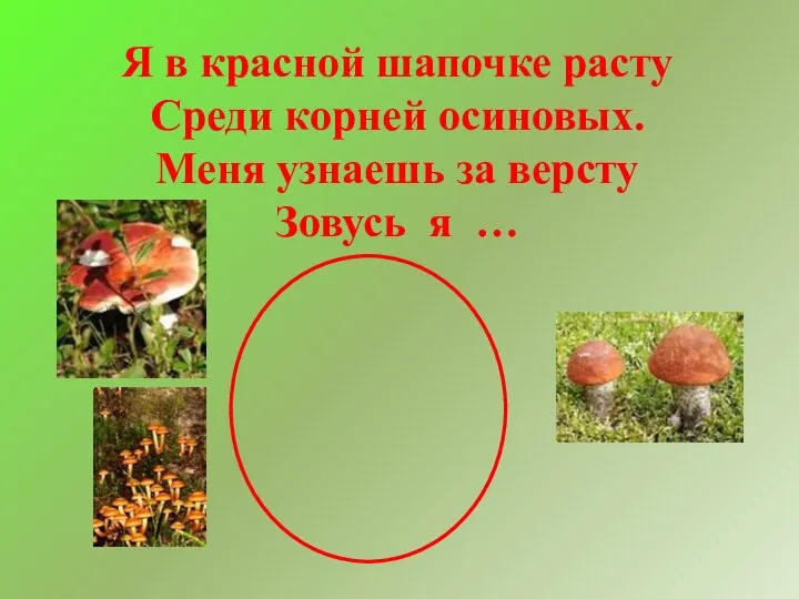 Я в красной шапочке расту Среди корней осиновых. Меня узнаешь за версту Зовусь я …