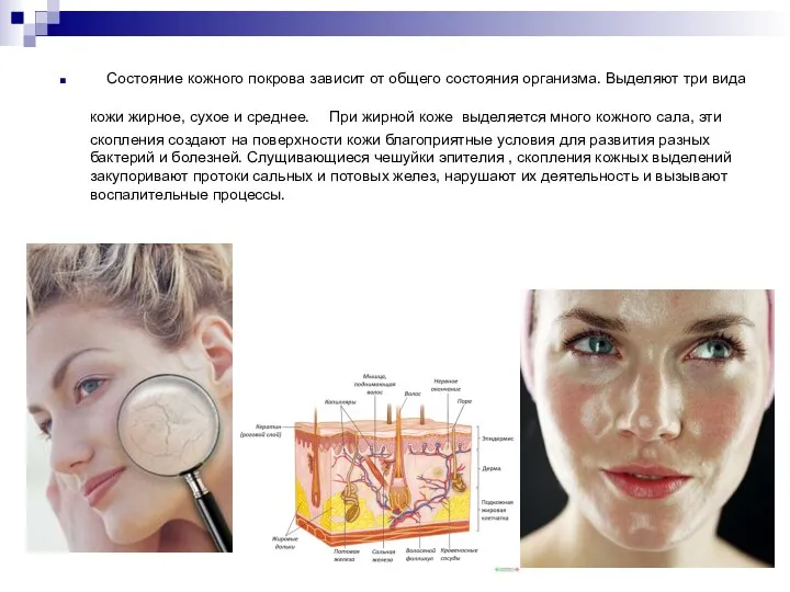 Состояние кожного покрова зависит от общего состояния организма. Выделяют три вида