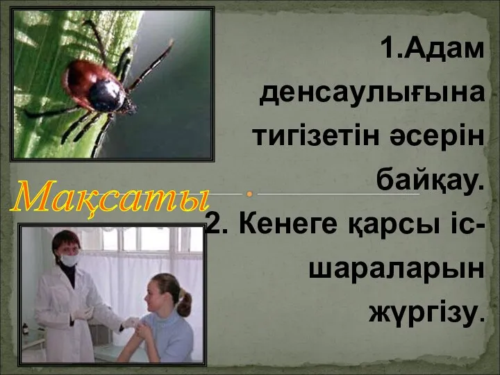 Мақсаты 1.Адам денсаулығына тигізетін әсерін байқау. 2. Кенеге қарсы іс-шараларын жүргізу.